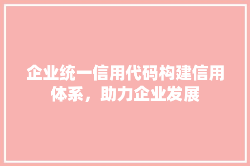 企业统一信用代码构建信用体系，助力企业发展