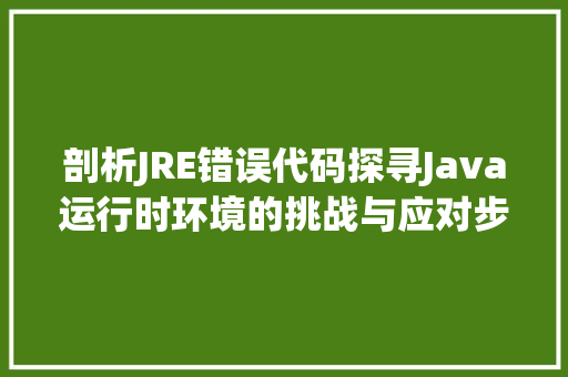 剖析JRE错误代码探寻Java运行时环境的挑战与应对步骤