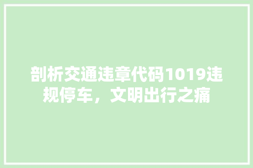 剖析交通违章代码1019违规停车，文明出行之痛