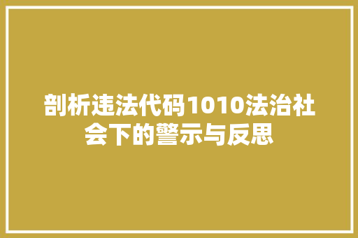 剖析违法代码1010法治社会下的警示与反思