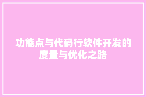 功能点与代码行软件开发的度量与优化之路