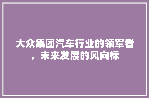 大众集团汽车行业的领军者，未来发展的风向标