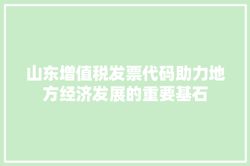 山东增值税发票代码助力地方经济发展的重要基石