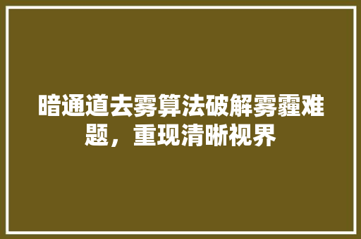 暗通道去雾算法破解雾霾难题，重现清晰视界