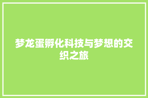 梦龙蛋孵化科技与梦想的交织之旅