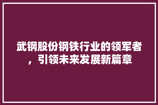 武钢股份钢铁行业的领军者，引领未来发展新篇章