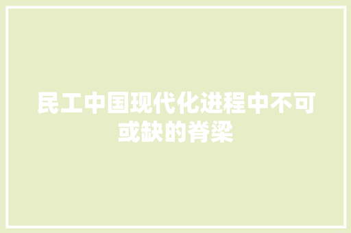 民工中国现代化进程中不可或缺的脊梁