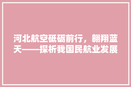 河北航空砥砺前行，翱翔蓝天——探析我国民航业发展新篇章
