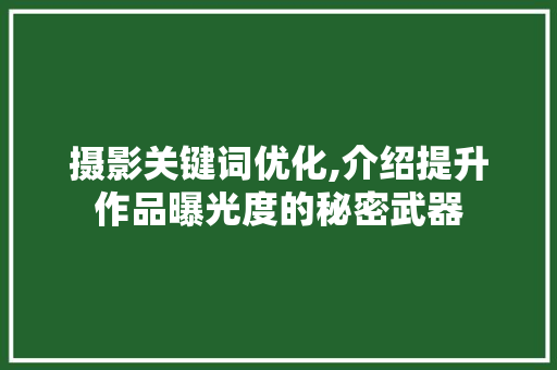 摄影关键词优化,介绍提升作品曝光度的秘密武器