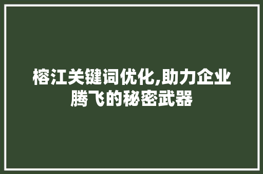 榕江关键词优化,助力企业腾飞的秘密武器
