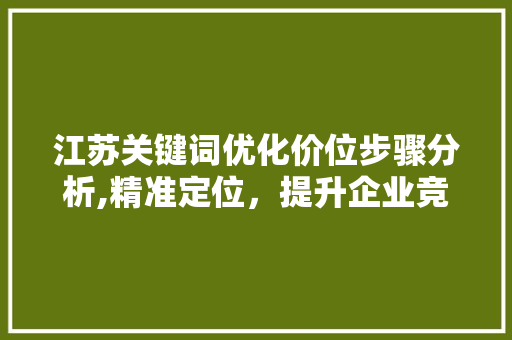 江苏关键词优化价位步骤分析,精准定位，提升企业竞争力