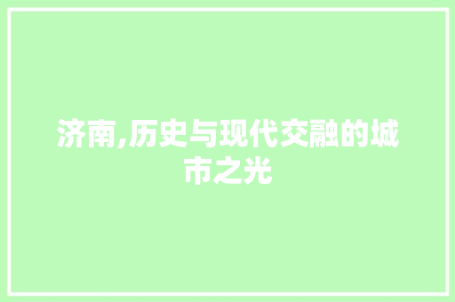 济南,历史与现代交融的城市之光