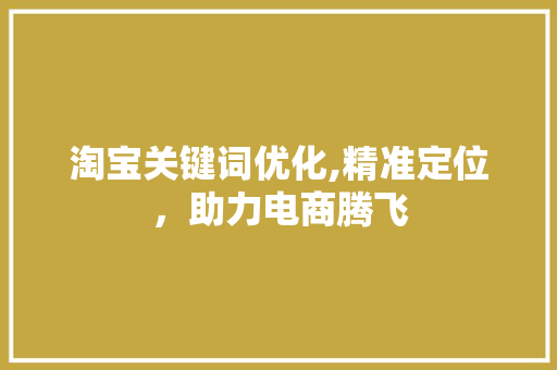 淘宝关键词优化,精准定位，助力电商腾飞