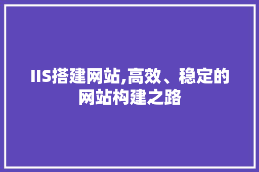 IIS搭建网站,高效、稳定的网站构建之路