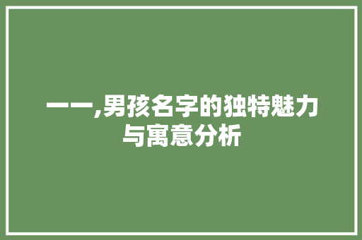 一一,男孩名字的独特魅力与寓意分析