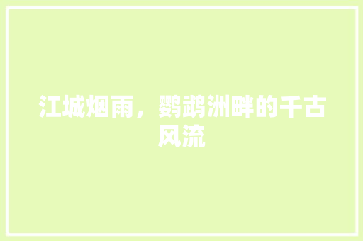 江城烟雨，鹦鹉洲畔的千古风流