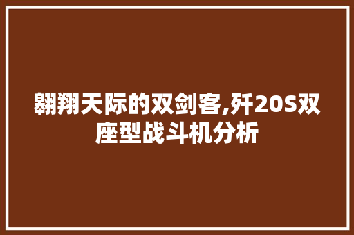 翱翔天际的双剑客,歼20S双座型战斗机分析