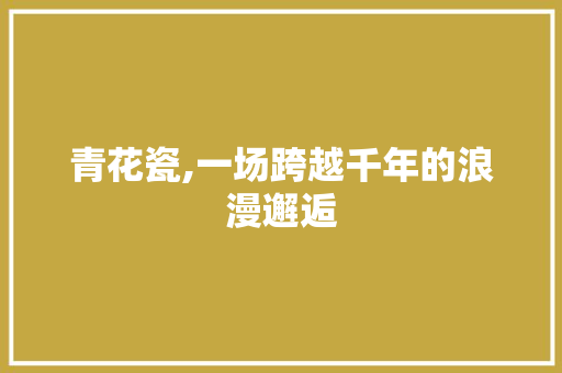青花瓷,一场跨越千年的浪漫邂逅