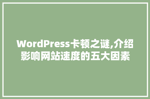 WordPress卡顿之谜,介绍影响网站速度的五大因素
