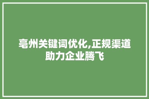 亳州关键词优化,正规渠道助力企业腾飞