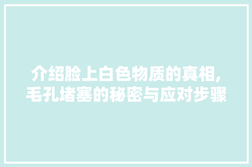介绍脸上白色物质的真相,毛孔堵塞的秘密与应对步骤