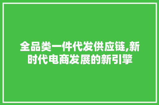全品类一件代发供应链,新时代电商发展的新引擎