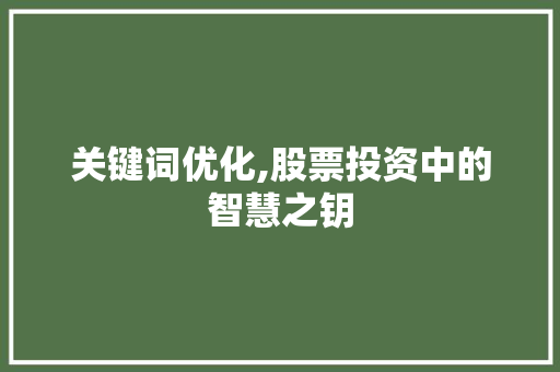 关键词优化,股票投资中的智慧之钥