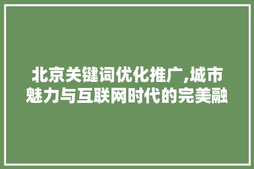 北京关键词优化推广,城市魅力与互联网时代的完美融合
