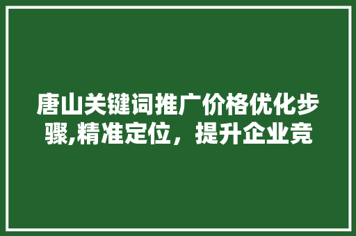 唐山关键词推广价格优化步骤,精准定位，提升企业竞争力