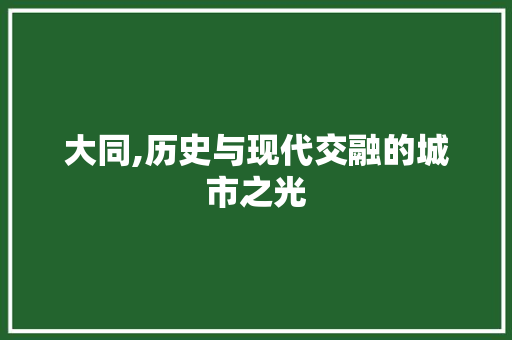 大同,历史与现代交融的城市之光