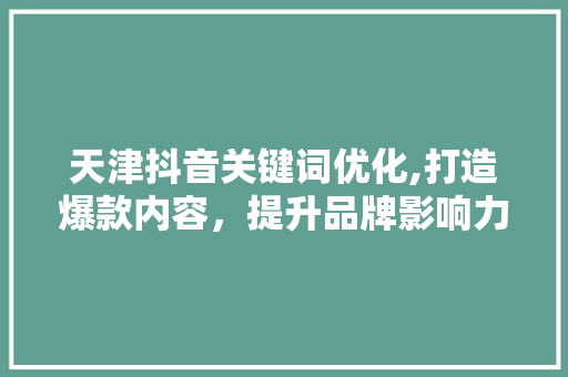 天津抖音关键词优化,打造爆款内容，提升品牌影响力