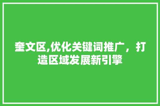 奎文区,优化关键词推广，打造区域发展新引擎
