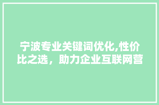 宁波专业关键词优化,性价比之选，助力企业互联网营销