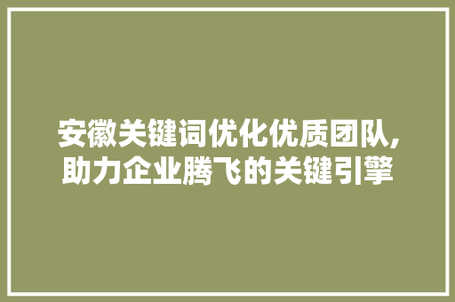 安徽关键词优化优质团队,助力企业腾飞的关键引擎