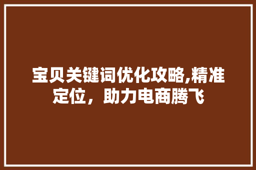 宝贝关键词优化攻略,精准定位，助力电商腾飞
