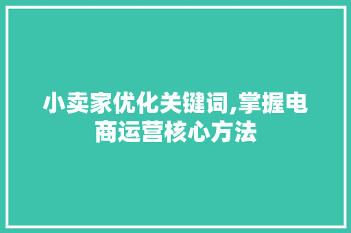 小卖家优化关键词,掌握电商运营核心方法