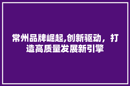 常州品牌崛起,创新驱动，打造高质量发展新引擎