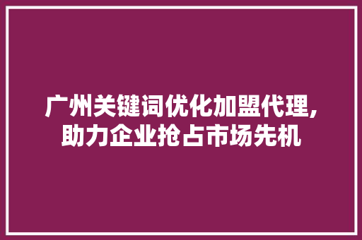 广州关键词优化加盟代理,助力企业抢占市场先机
