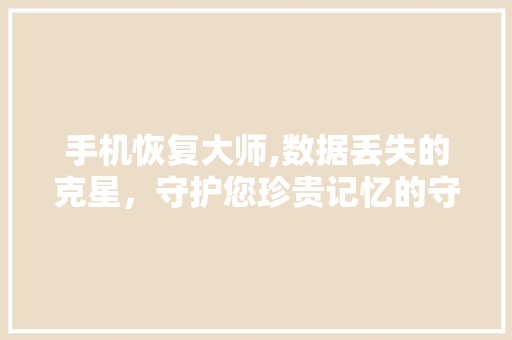 手机恢复大师,数据丢失的克星，守护您珍贵记忆的守护神