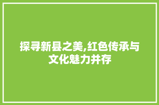 探寻新县之美,红色传承与文化魅力并存