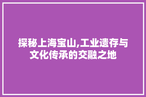 探秘上海宝山,工业遗存与文化传承的交融之地