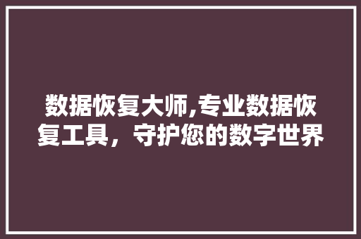 数据恢复大师,专业数据恢复工具，守护您的数字世界