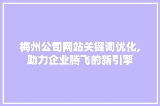 梅州公司网站关键词优化,助力企业腾飞的新引擎