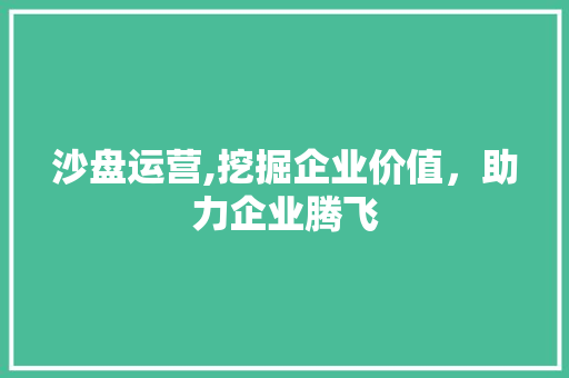 沙盘运营,挖掘企业价值，助力企业腾飞