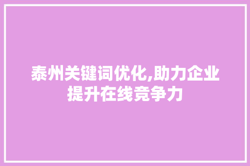 泰州关键词优化,助力企业提升在线竞争力