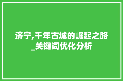 济宁,千年古城的崛起之路_关键词优化分析