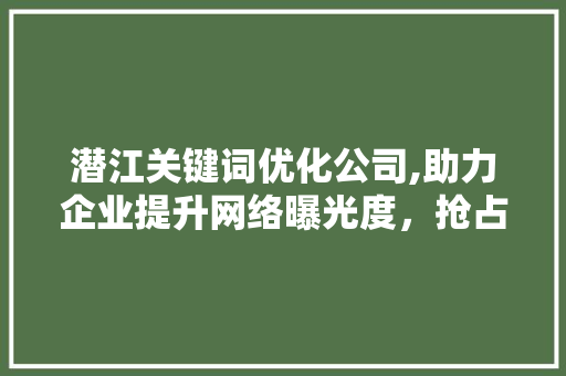 潜江关键词优化公司,助力企业提升网络曝光度，抢占市场先机