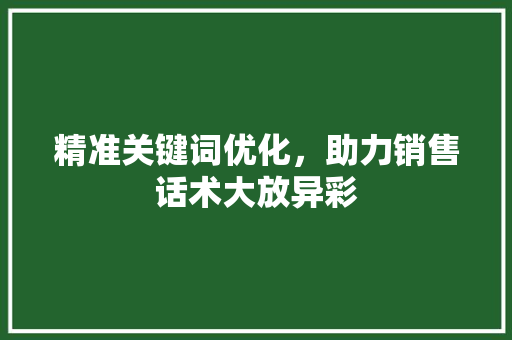 精准关键词优化，助力销售话术大放异彩