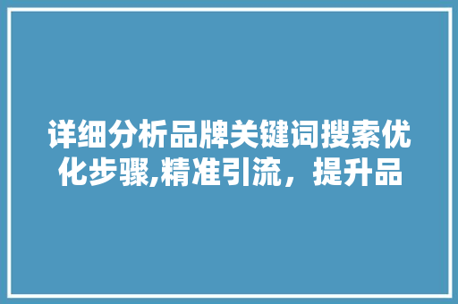 详细分析品牌关键词搜索优化步骤,精准引流，提升品牌影响力