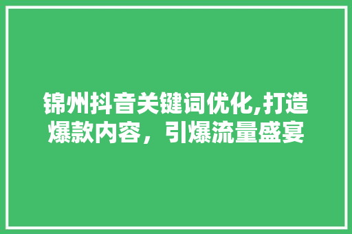 锦州抖音关键词优化,打造爆款内容，引爆流量盛宴